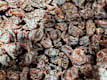Frutos Secos (Kg)