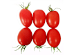 Verduras y Hortalizas