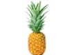 Fruta
