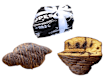 Colomba Pasqua 2026