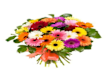 Bouquet Speciali