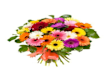Bouquet Classici