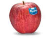 Frutta