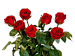 Bouquet di Rose