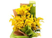 Festa della Donna