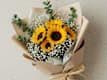 Girasoli