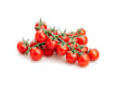 Pomodori