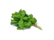 Erbe Aromatiche