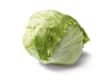 Lattuga e Insalata