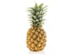 FRUTTA