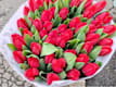 Tulipani