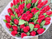Tulipani