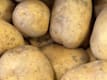 Patate e Cipolle