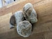 Pane Artigianale