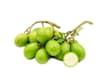 Frutta e Verdura Fresca