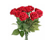 Rose Rosse al Gambo Lungo