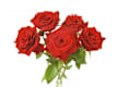 Bouquet di Rose