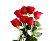 Bouquet di Rose
