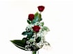 Tris di Rose