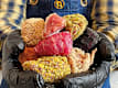 Bombette