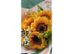 Fiori e Bouquet