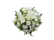 Bouquet classici