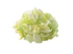 VERDURE