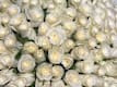 Losse witte rozen