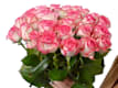 Losse rozen roze