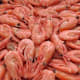 Seafood, others