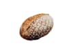 Breads