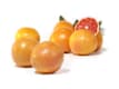FRUITS