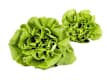 Vegetables