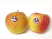 FRUITS
