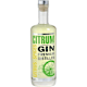 Gin