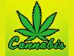 CBD