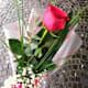 Bouquets