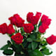 Flowers According to You