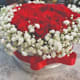 Box of Roses - Roses in a Box