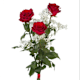 Bouquet of Roses