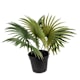 Pot Plants - Artificial