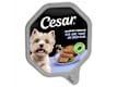 Dog Product