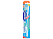 Dental Care