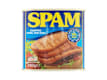 Tinned Meat
