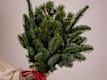 Christmas Collection 2026