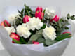 Carnations
