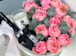 Flower boxes