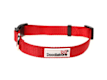 Dog Collars, Harnesses & Leads