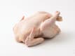 Fresh Chicken