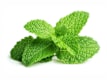 Green Grocery